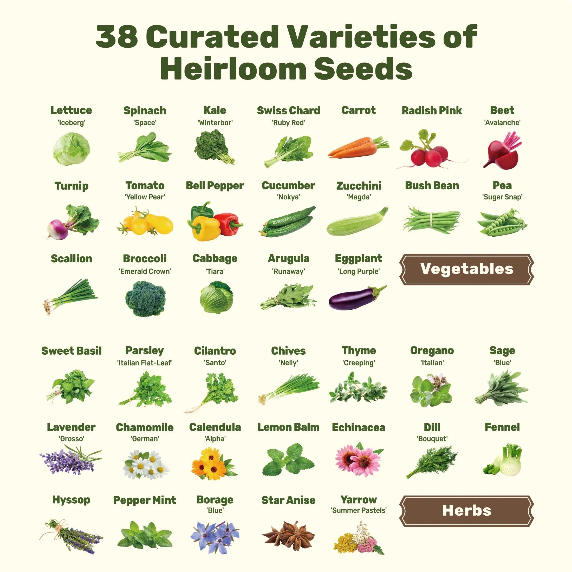 Modular Seed Storage System – 38 Varieties of Vegetable & Herb Seeds with Stackable Tubes