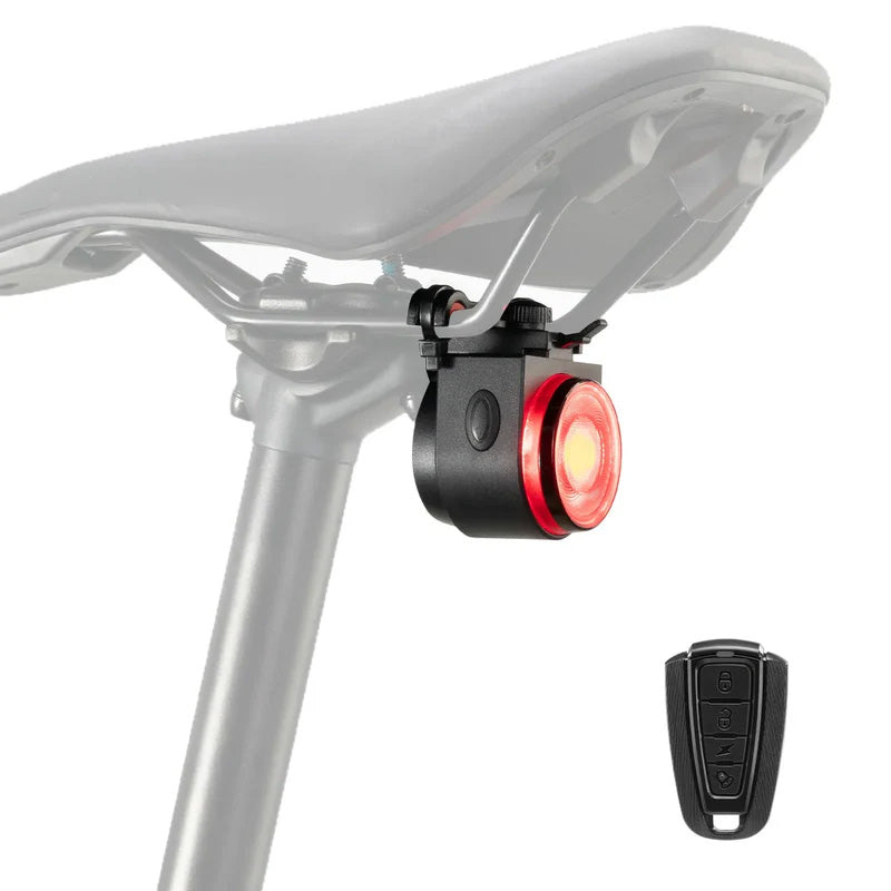 Taillight remote control USB-C interface
