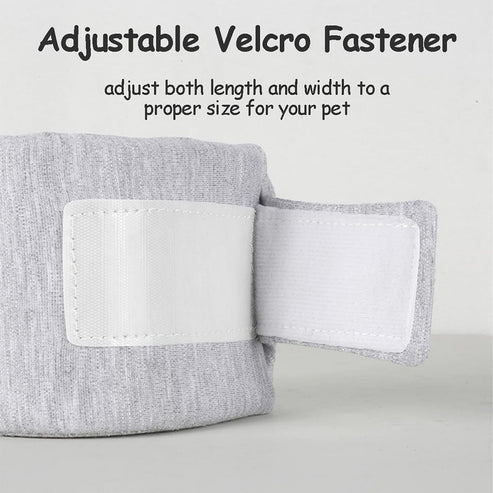 Adjustable cat neck brace