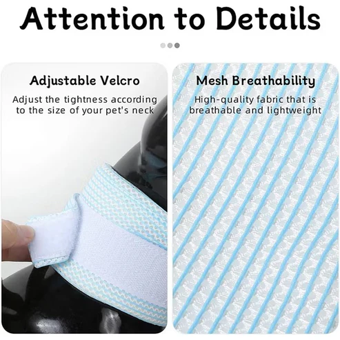 Adjustable cat neck brace