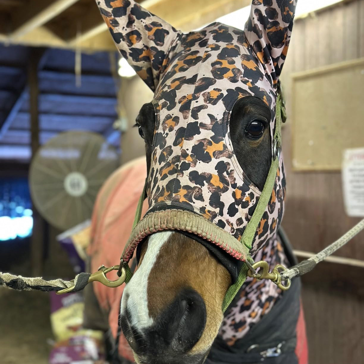 Horse Stretch Hood – Mane Protector with Full Head & Neck Coverage