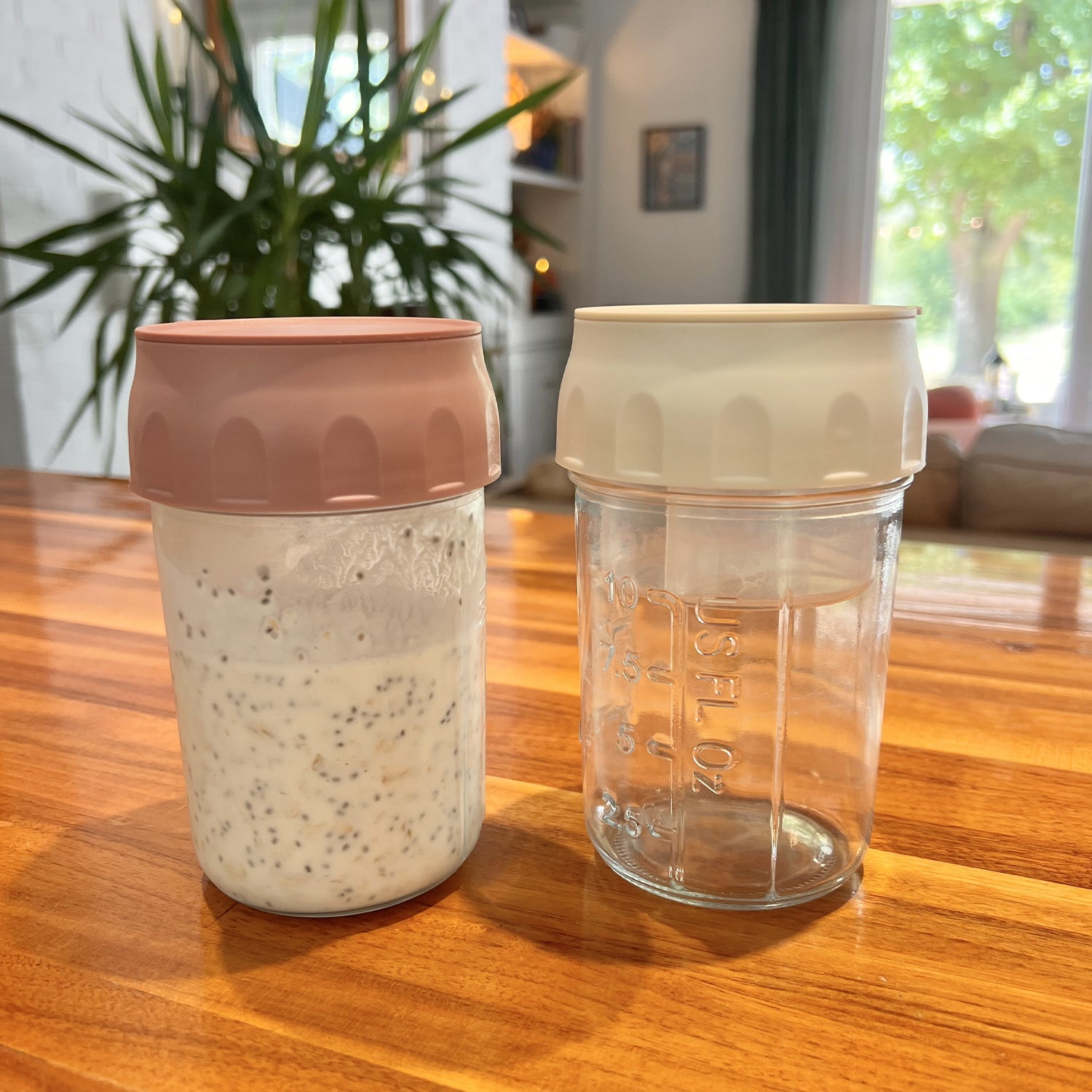 Overnight oatmeal container with lid