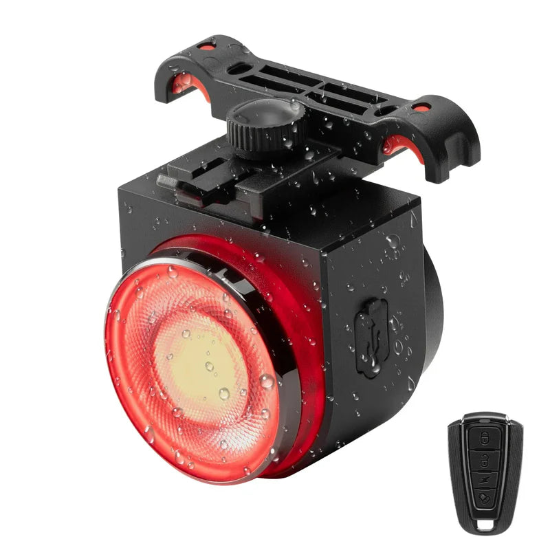 Taillight remote control USB-C interface