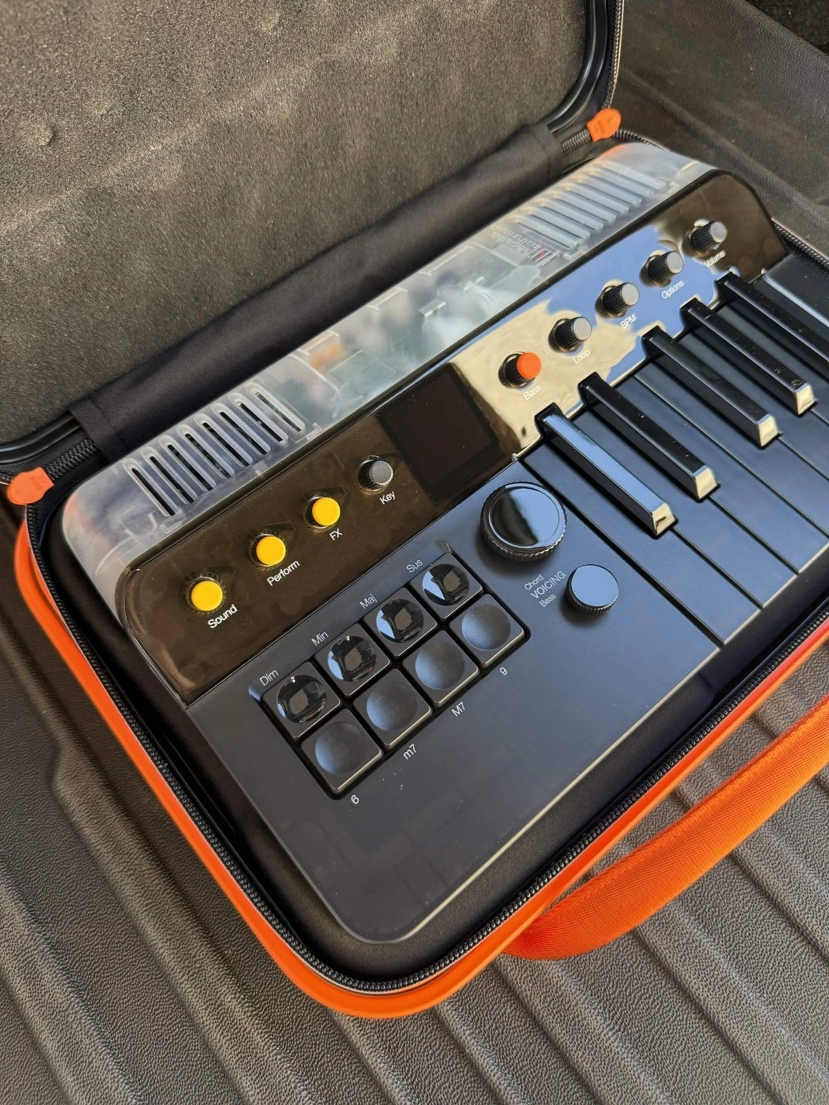 The Chord‑Generating Synth That Plays Nice with Beginners and Pros Alike