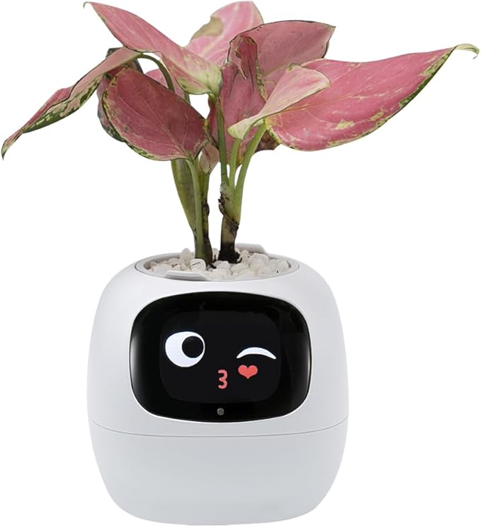 Smart Plant Pot with Expression – AI Intelligent Flower Pot for Indoor Gardening 🌱🤖