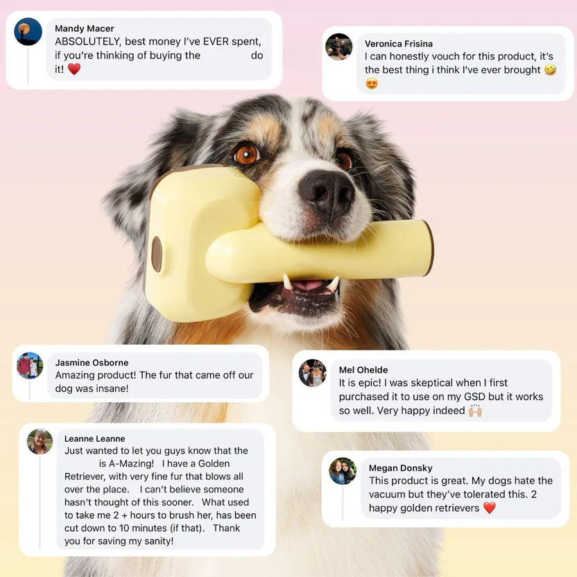 3-in-1 Pet Vacuum Brush
