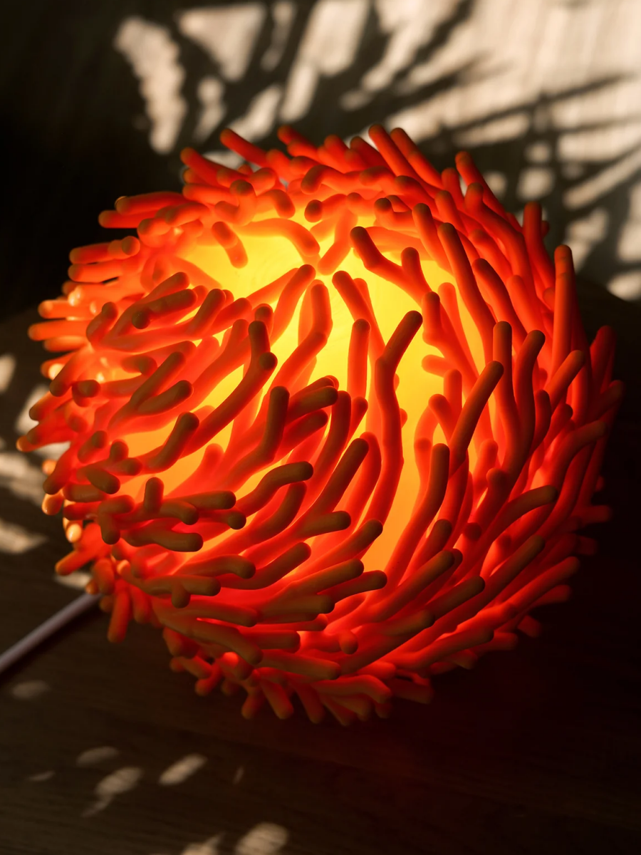 Coral Sculpted Lamp : Organic Design — Plant-Based Material