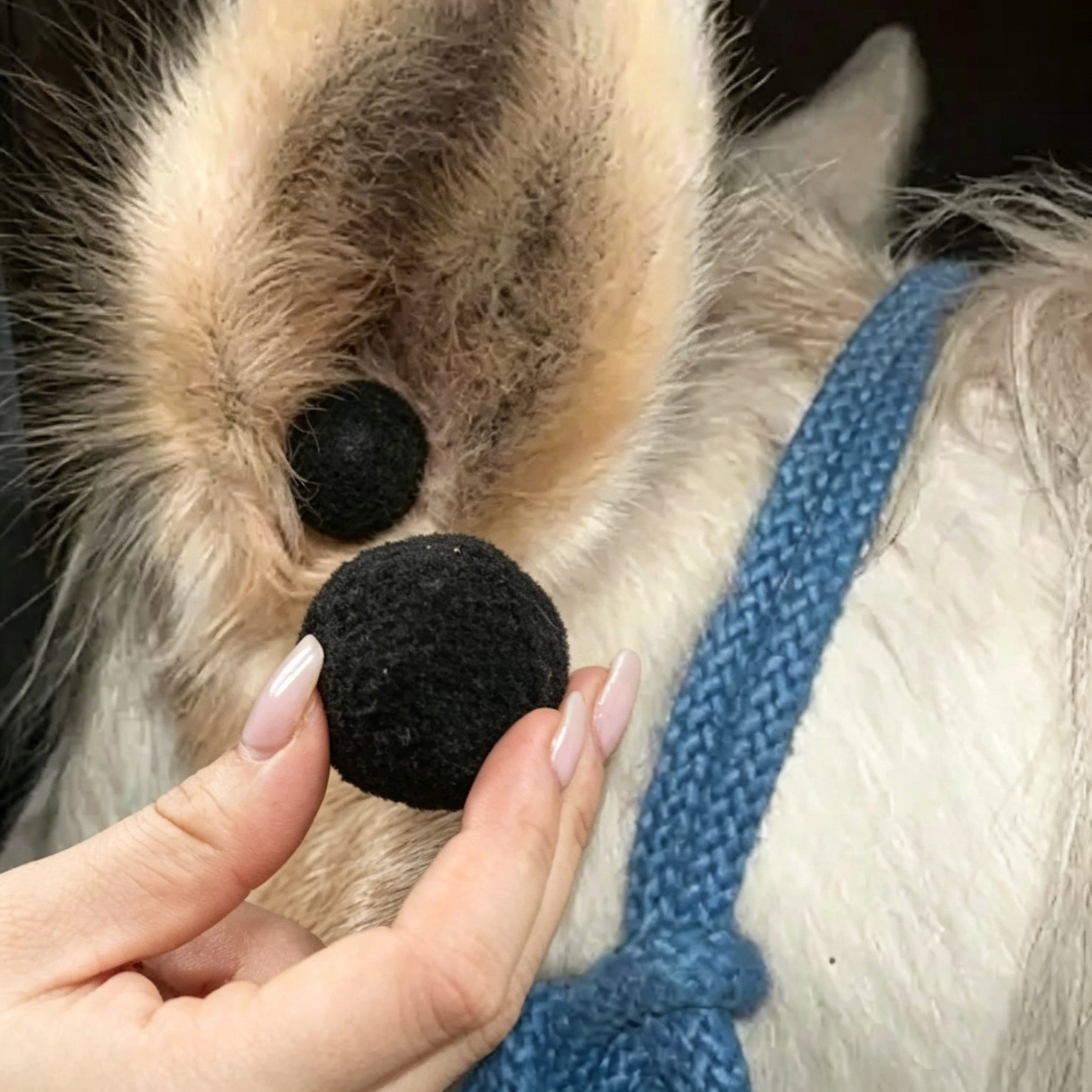 Equestrian Training Ear Plugs – Soft Fabric Noise Protection for Horses