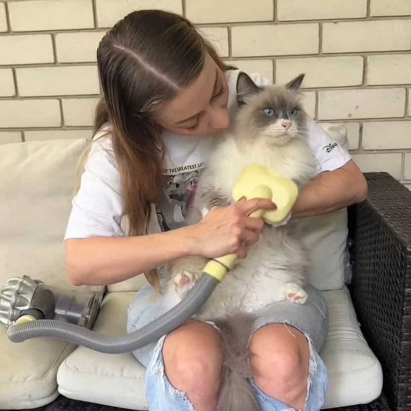 3-in-1 Pet Vacuum Brush