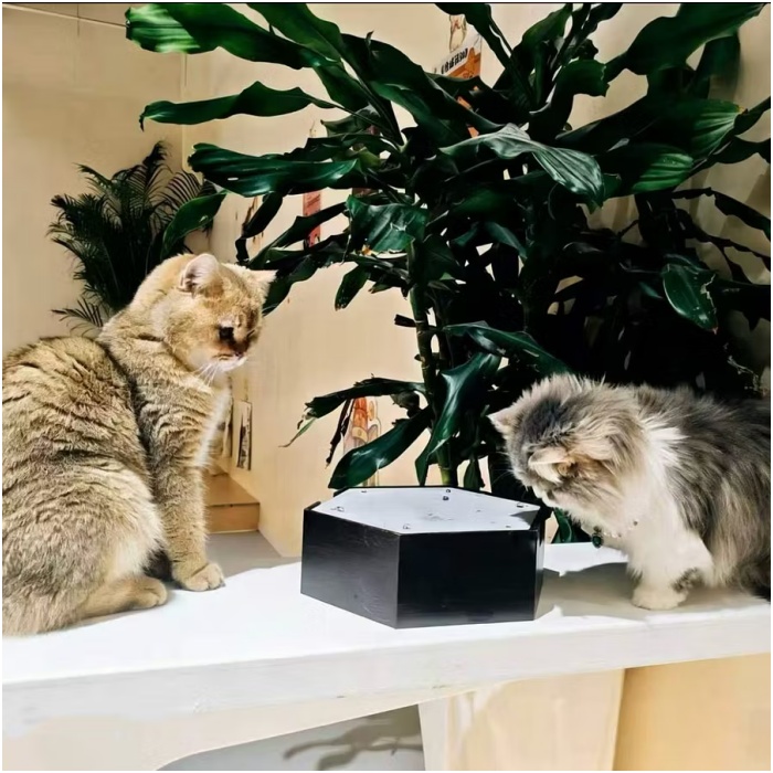 Interactive Water Drip Cat Toy 🐱 Self-Play Fountain with Motion