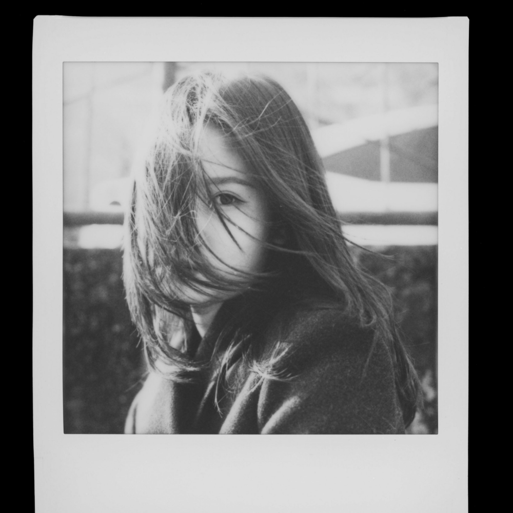 Instant Film Back for Medium Format SLR Cameras