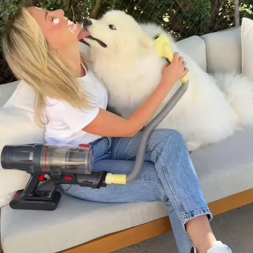 3-in-1 Pet Vacuum Brush