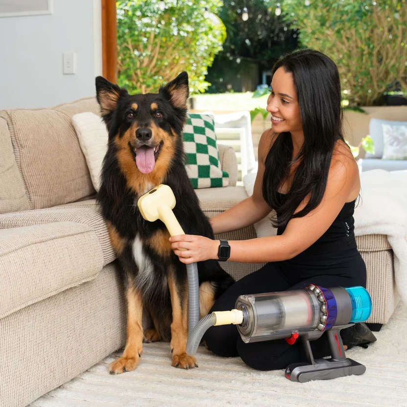 3-in-1 Pet Vacuum Brush