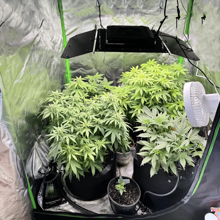 Smart Indoor Grow Tent Kit