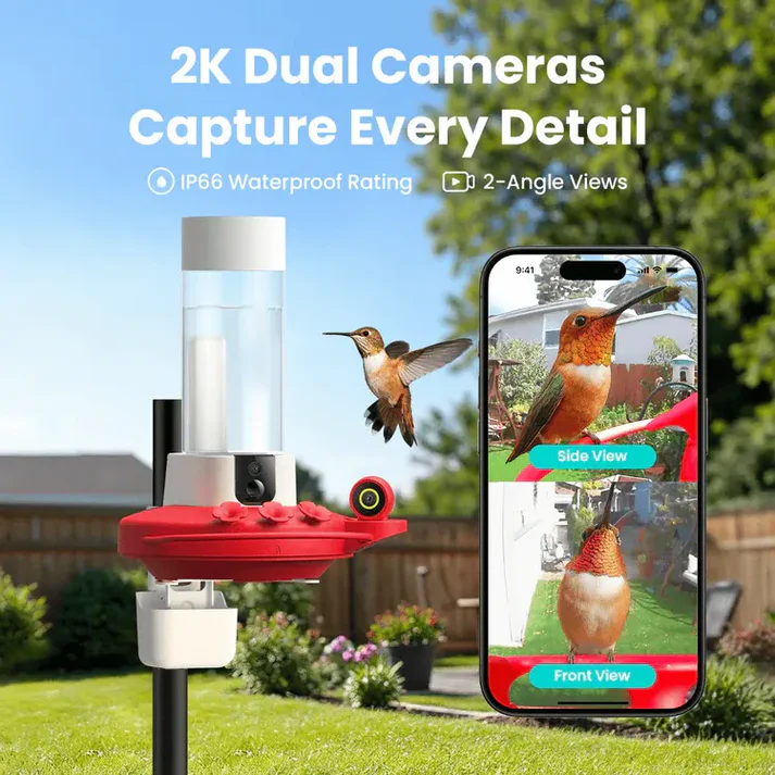Hummingbird Feeder with Dual Cameras
