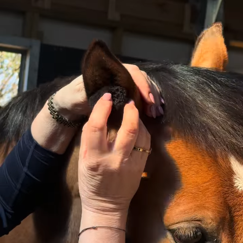 Equestrian Training Ear Plugs – Soft Fabric Noise Protection for Horses