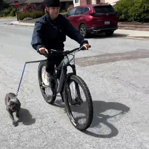 Bike Dog Leash – Quick-Release Bicycle Dog Walking Tool