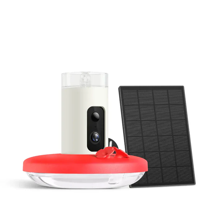 Hummingbird Feeder with Dual Cameras