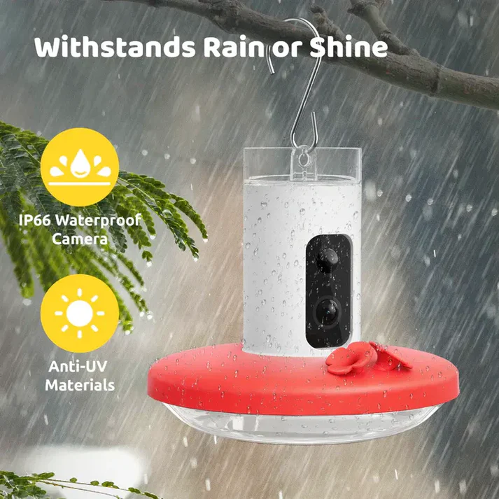 Hummingbird Feeder with Dual Cameras