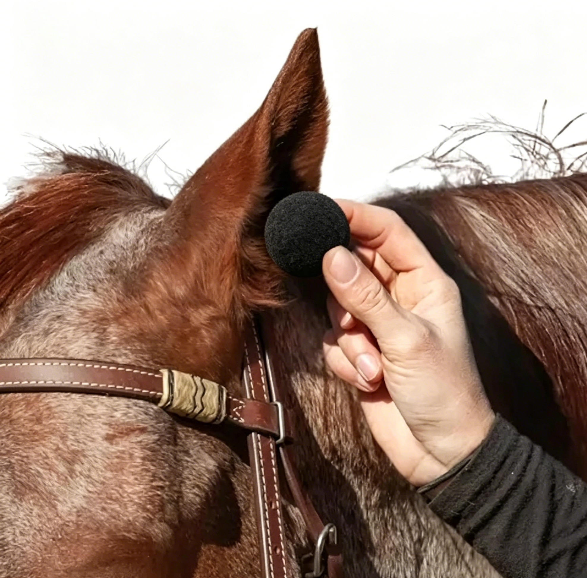 Equestrian Training Ear Plugs – Soft Fabric Noise Protection for Horses