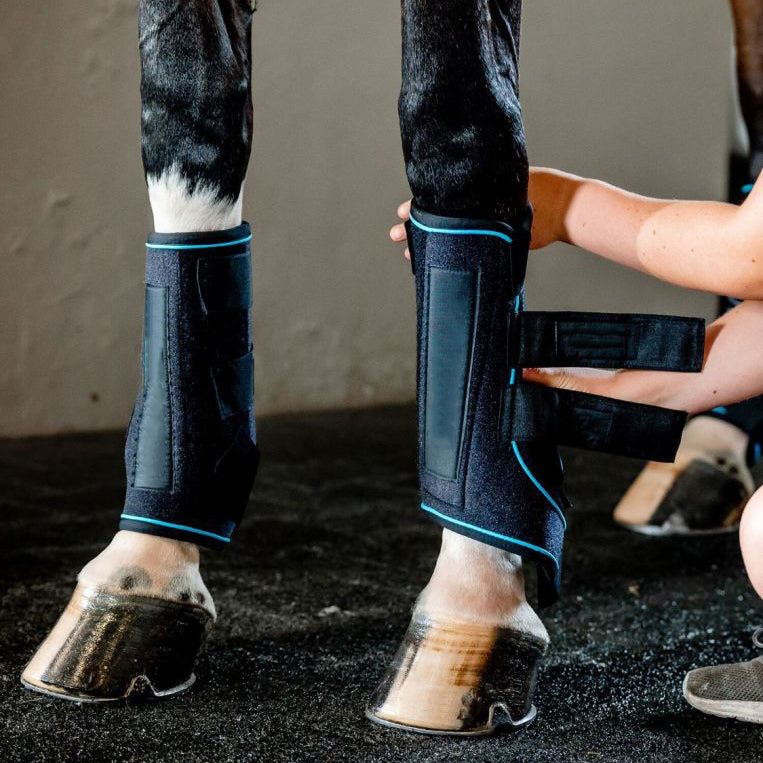 Equine Therapeutic Ice Leg Wraps – Massage & Cold Therapy Boots