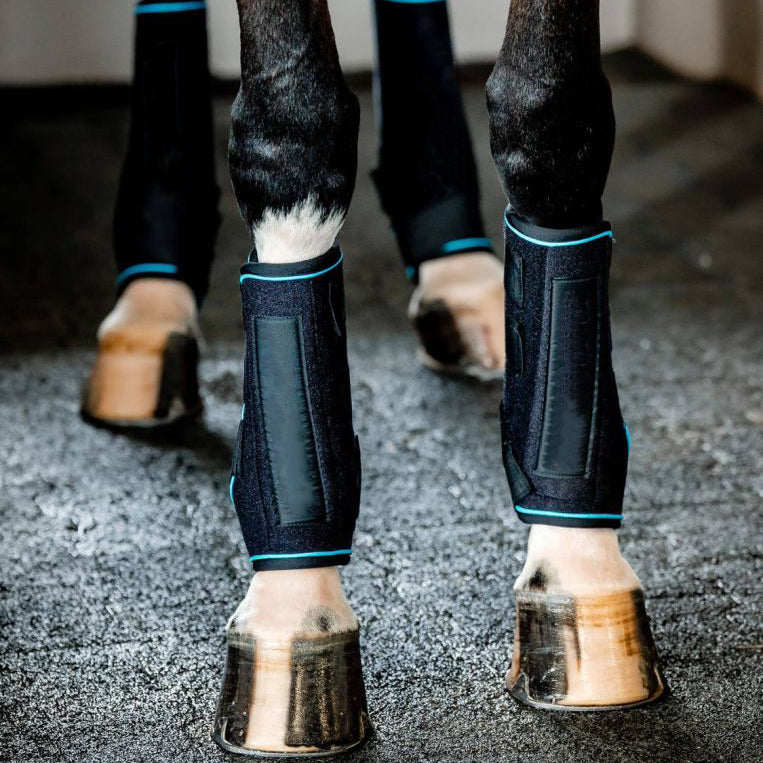 Equine Therapeutic Ice Leg Wraps – Massage & Cold Therapy Boots