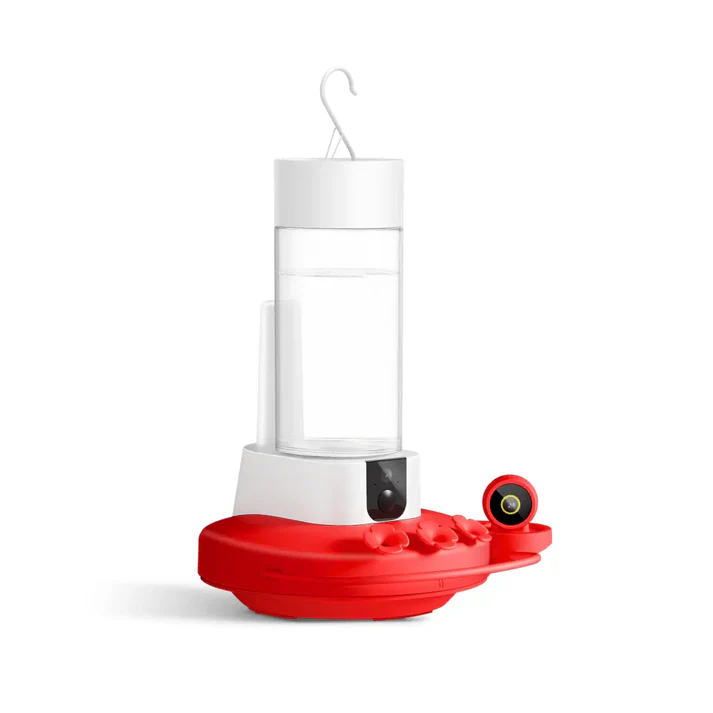 Hummingbird Feeder with Dual Cameras