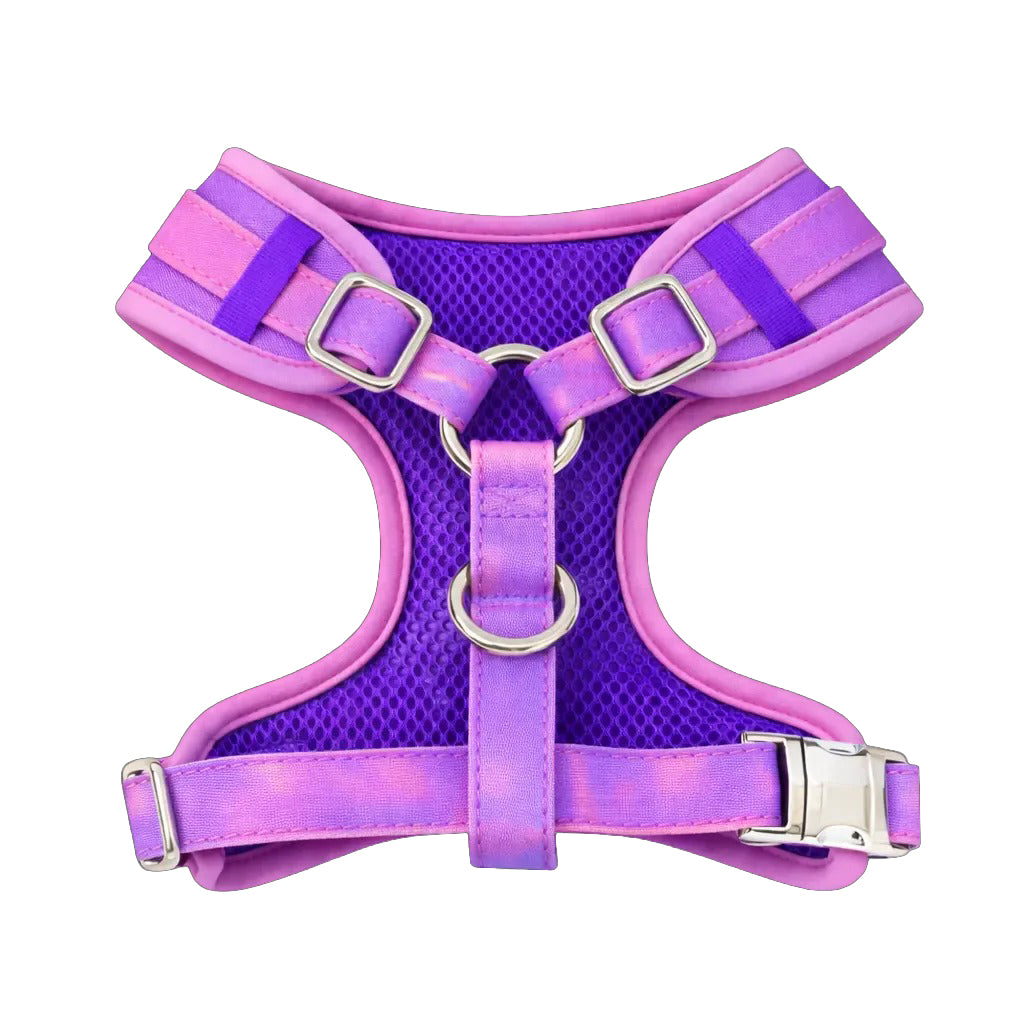 Color-Changing Dog Harness & Leash – Temperature-Active Wearable