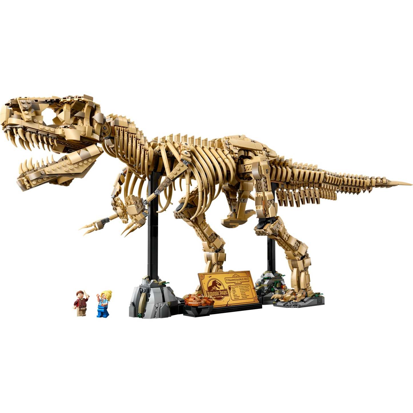 ® Jurassic World Dinosaur Fossils: Tyrannosaurus rex