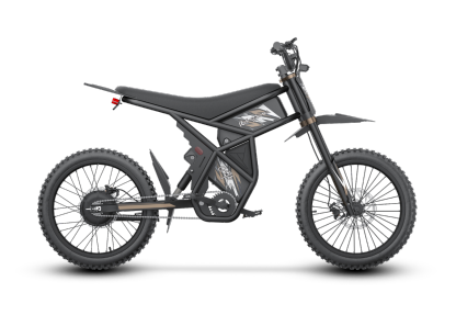 GT73 /PRO Electric Motorbike
