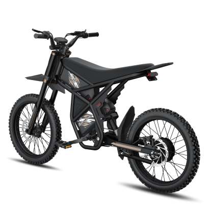 GT73 /PRO Electric Motorbike