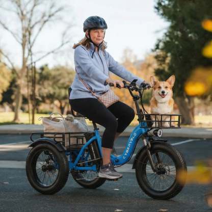 C16 Electric Tricycle