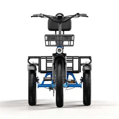 C16 Electric Tricycle