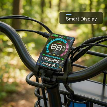 C16 Electric Tricycle