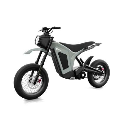 Solar E-Clipse Stealth Edition - Belt Drive