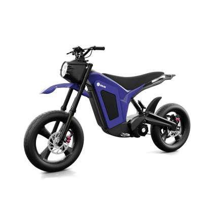Solar E-Clipse Stealth Edition - Belt Drive