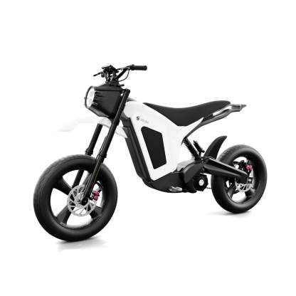 Solar E-Clipse Stealth Edition - Belt Drive