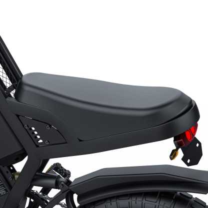 GT20 Ebike