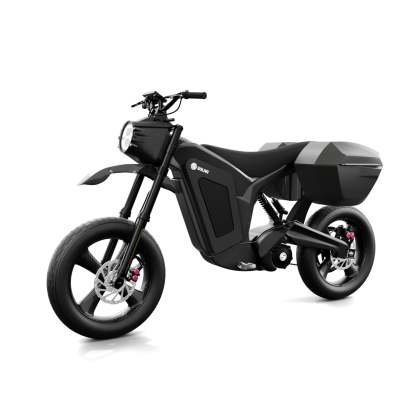 Solar E-Clipse Stealth Edition - Belt Drive