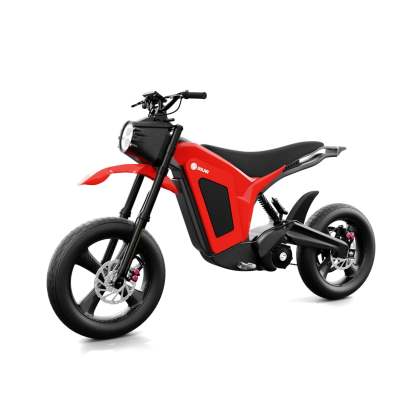 Solar E-Clipse Stealth Edition - Belt Drive