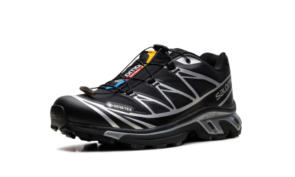 XT-6 Gore-Tex "Black Silver"