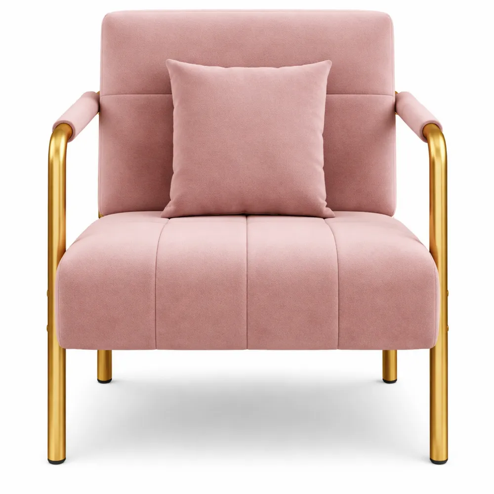 Fauteuil en Velours avec Coussin Rose pour Intérieur Chic