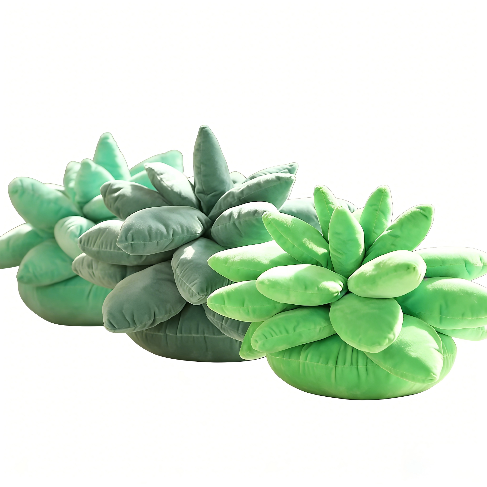Plant Mom Aesthetic Succulent Pillow
