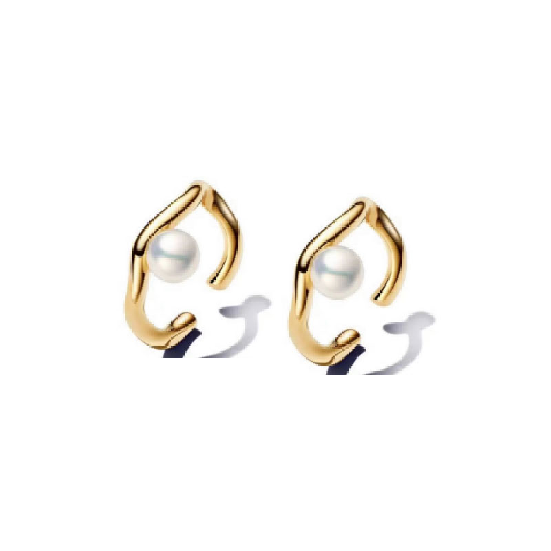 New In Rose Gold Starfish Leopard Sparkling Infinity Sparkle Hearts Stud Hoop Earrings For Women Piercing Free Shipping Jewelry