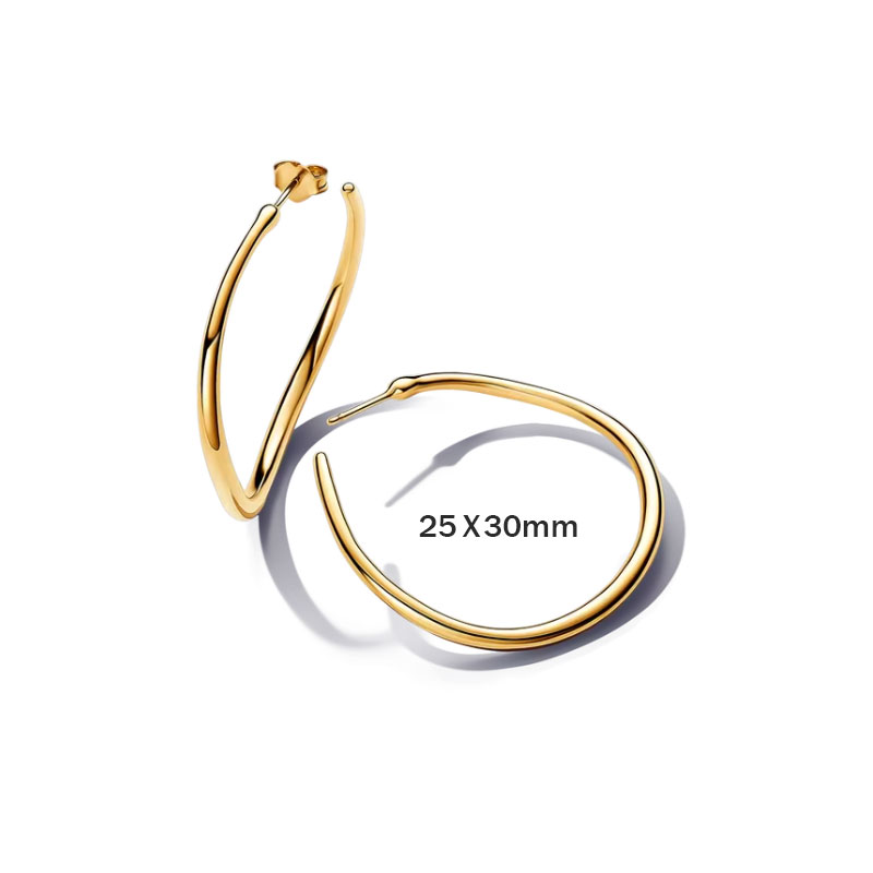 New In Rose Gold Starfish Leopard Sparkling Infinity Sparkle Hearts Stud Hoop Earrings For Women Piercing Free Shipping Jewelry