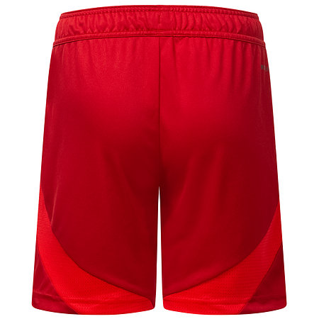 Kid's Fortuna Düsseldorf 2024/25 Home Shorts
