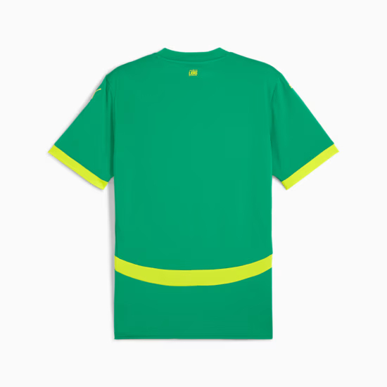 Herren Senegal 2025 Auswärts trikot