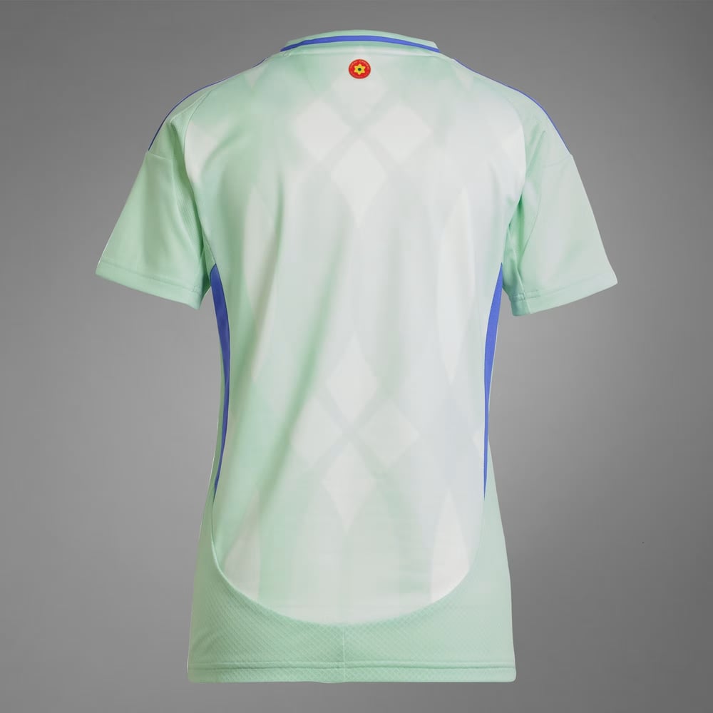 Männer Wales 2025 Frauen Team Auswärts trikot