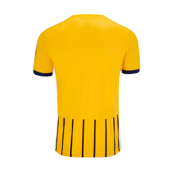 Herren Brighton & Hove Albion 2025/26 Drittes Hemd