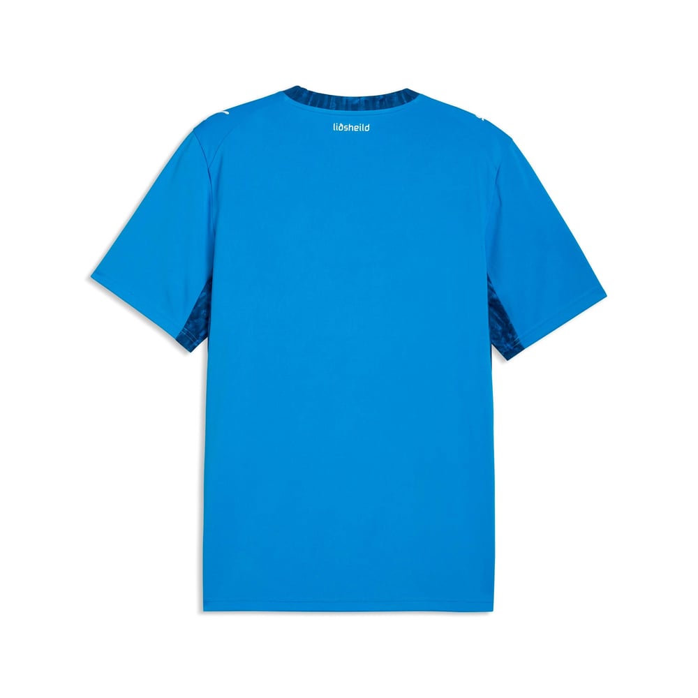 Männer Island 2026 Heim WM Shirt